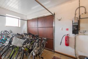Attività di ciclismo presso la casa vacanze o nelle vicinanze