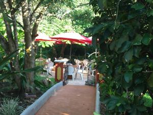 Vrt pred nastanitvijo The Pickled Onion B&B and Restaurant Uxmal