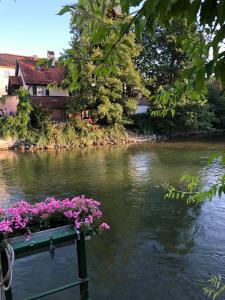 Blick auf einen Fluss in der Nähe der Ferienwohnung
