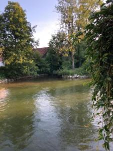 Naturlandschaft in der Nähe der Ferienwohnung