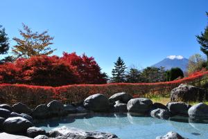a pool of water surrounded by trees and shrubbery at Hotel Mt. Fuji in Yamanakako