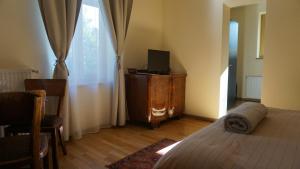 a bedroom with a bed and a television at Vila Arizto in Sinaia