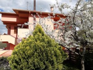 a christmas tree in front of a building at Notti Rosa B&B in Melfi