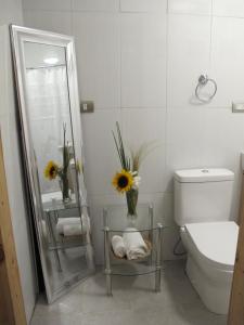 a bathroom with a toilet and a mirror and flowers at Cabañas Lemupewen Chillán 2 in Chillán