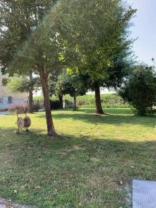 A garden outside Corte castella