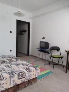 Schlafzimmer mit einem Bett, einem Schreibtisch und einem TV in der Unterkunft Panoráma Üdülőszálló in Sopron