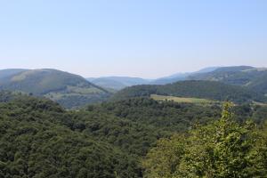 Příroda nedaleko apartmánu