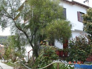 a tree in front of a white house at Dina Studio Maisonettes in Platanias