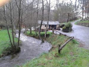 Príroda v okolí of the country house