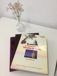 Fotografia z galérie ubytovania Imperial - Parking gratis v destinácii Seville