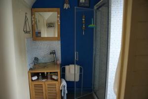 a bathroom with a shower with a sink and a mirror at Chambre d'hôtes Élevage' chemin noir in Verlinghem