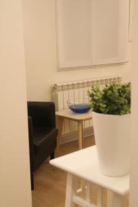 a living room with a table and a potted plant at Hostal Mónaco in Valladolid