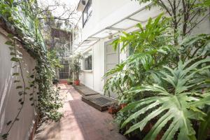 a greenhouse with plants and a white door at Loft Contemporaneo a 50m de la Plaza Principal de Coyoacán in Mexico City