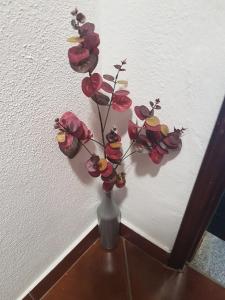 Foto dalla galleria di Casa dos Avós e Netos a Fundão