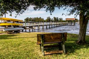 a bench sitting under a tree next to a dock at Island View Cottages Sebastian in Sebastian