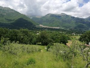 a green field with trees and mountains in the background at Tenuta Castelli in San Donato Val di Comino