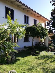 ein weißes Haus mit Bäumen im Hof in der Unterkunft B&B RIPALTA in Sogliano al Rubicone