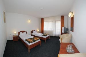 Gallery image of Hotel Paltinis in Statjunea Borsa