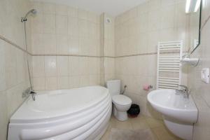 Hotel Paltinis tesisinde bir banyo