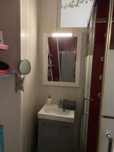 bagno con lavandino e specchio di appartement vivier 4 personnes tout confort a Boulogne-sur-Mer