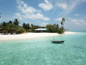 Landskap semula jadi dekat dengan rumah tamu ini