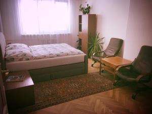 Posteľ alebo postele v izbe v ubytovaní Apartment Anna Vysehrad