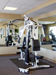 Fitness centrum a/nebo fitness zařízení v ubytování Carlton Inn Midway