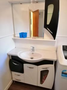 uma casa de banho com um lavatório e um espelho em Homestay Family room, near the city center em Christchurch