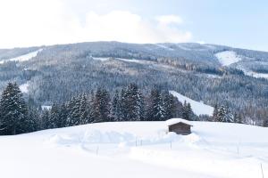 Hotel Alpenkrone v zimě