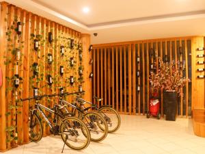 Jízda na kole v ubytování Ngoc Phat Dalat Hotel nebo okolí