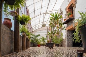 阿特利斯科的住宿－Hotel Vitorina，走廊上设有盆栽和玻璃天花板