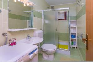 a bathroom with a toilet and a sink and a shower at Apartment Vesna in Milna +39 photos