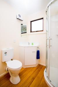 a bathroom with a toilet and a shower at Langdale Lodge in Kurow