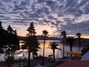 a view of a body of water with palm trees at Blaga Apartment - in Korčula