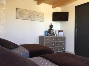 TV a/nebo společenská místnost v ubytování L'ESCALE COTE BLEUE B&B AND Spa