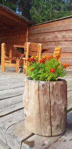 Φωτογραφία από το άλμπουμ του Pension Svoboda σε Pec pod Sněžkou