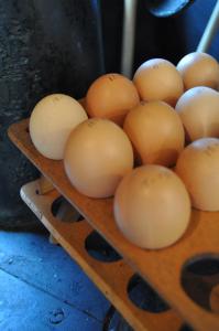 un montón de huevos blancos en un estante de madera en Cleopatra Mountain Farmhouse, en Fort Nottingham