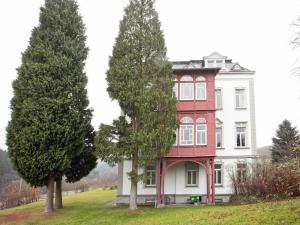 a red and white house on a hill with two trees at Moderne Villa in Borstendorf mit Park in Leubsdorf +32 photos