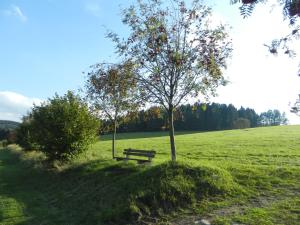 Zahrada ubytování Waldgasthof & Hotel Am Sauwald