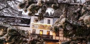 Waldgasthof & Hotel Am Sauwald v zimě