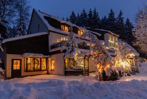 Waldgasthof & Hotel Am Sauwald v zimě + 16 fotografií