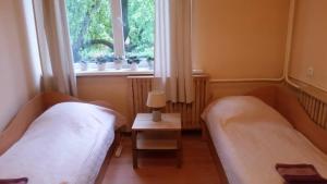 Duas camas num quarto com uma janela em Aleks em Zarasai