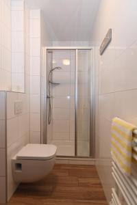 a white bathroom with a shower and a toilet at Pension Grenzenlos in Selfkant