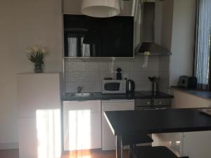 uma cozinha com um balcão preto e um micro-ondas em A coté de Genève 2 em Saint-Cergues