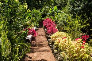 Um jardim em Casa Do Populo
