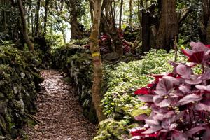 Um jardim em Casa Do Populo