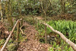 Um jardim em Casa Do Populo