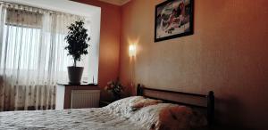 フメリヌィーツィクィイにあるзаречанская 57/1のベッドルーム1室(ベッド1台付)が備わります。壁に絵が飾られています。