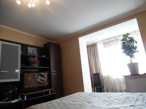 a bedroom with a bed and a tv and a window at заречанская 57/1 in Khmelnytskyi