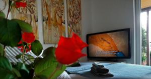 Penthouse Modena في نوفي ساد: غرفة معيشة مع تلفزيون وردة حمراء